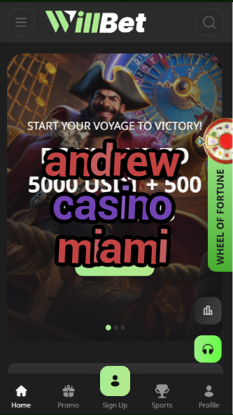 andrew casino miami-asdasdzhjkds.com
